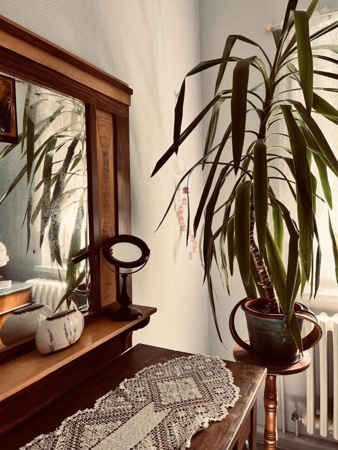 Ferienwohnung Geister Naumburg  Exteriér fotografie